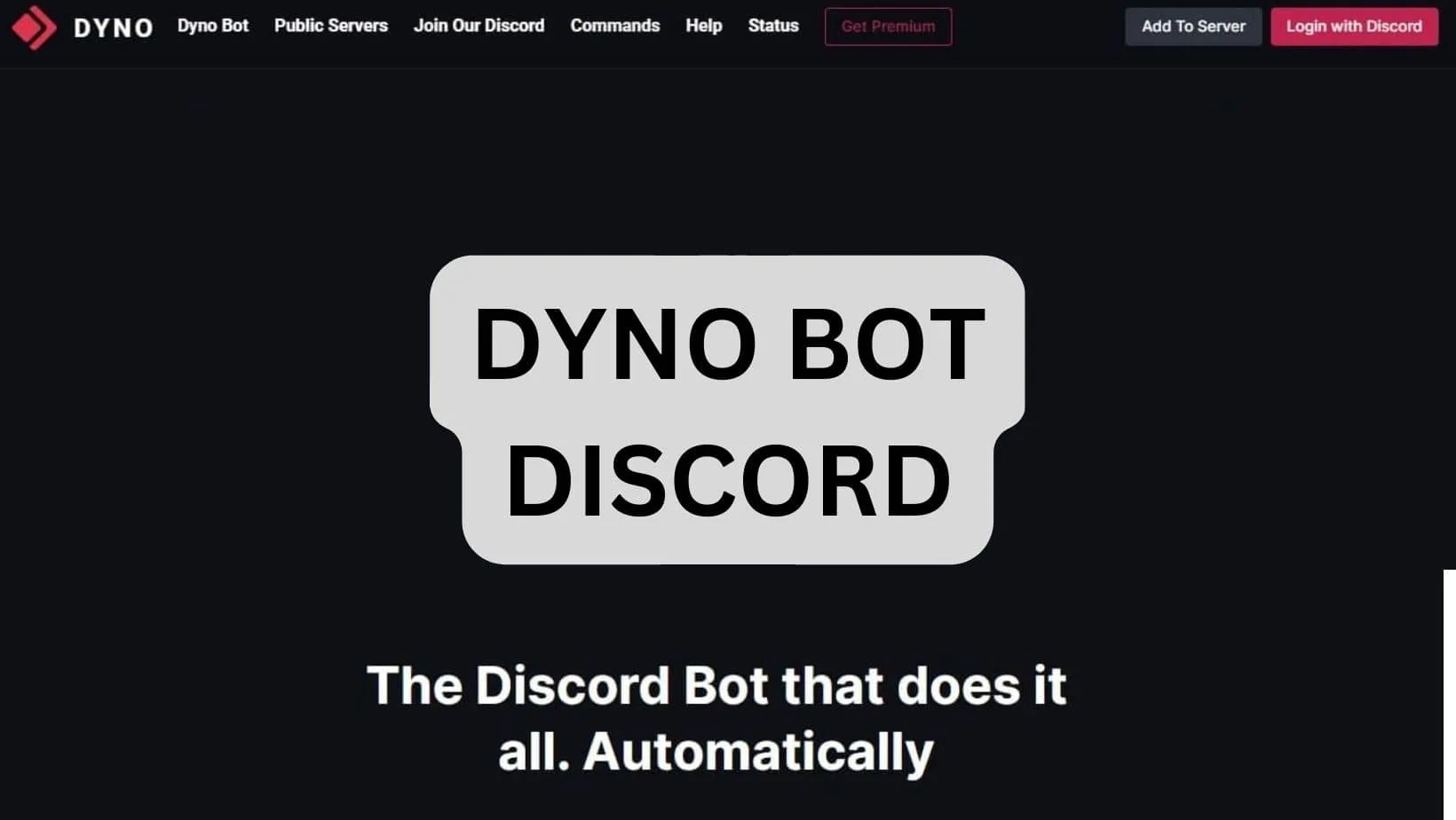 Dyno Bot Discord