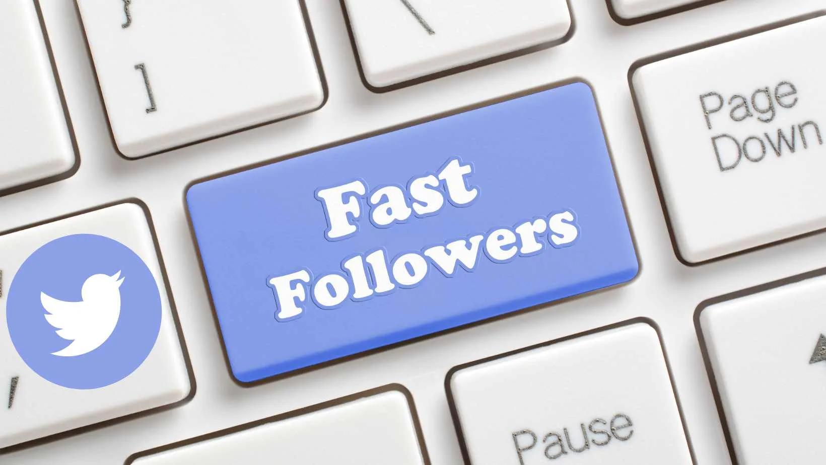 Gain Twitter Followers Fast