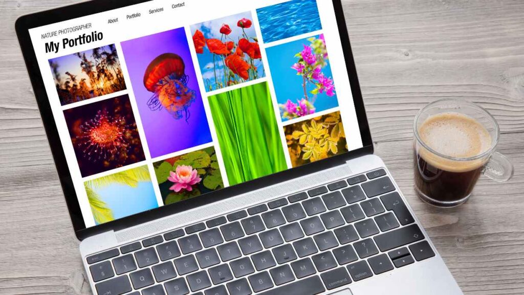 Best Free WordPress Themes