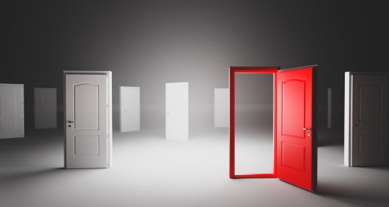 Factors to Consider When Choosing French Interior Doors