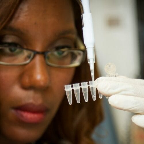 Common Rapid Diagnostic Tests in Healthcare: Decoding Essential Tools for Timely Diagnosis