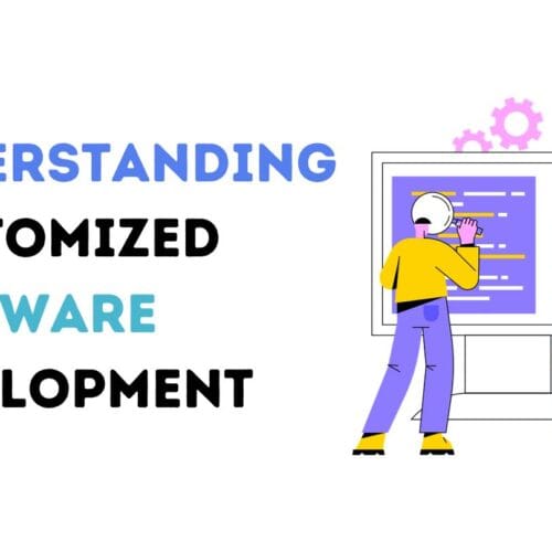 Understanding Customized Software Development