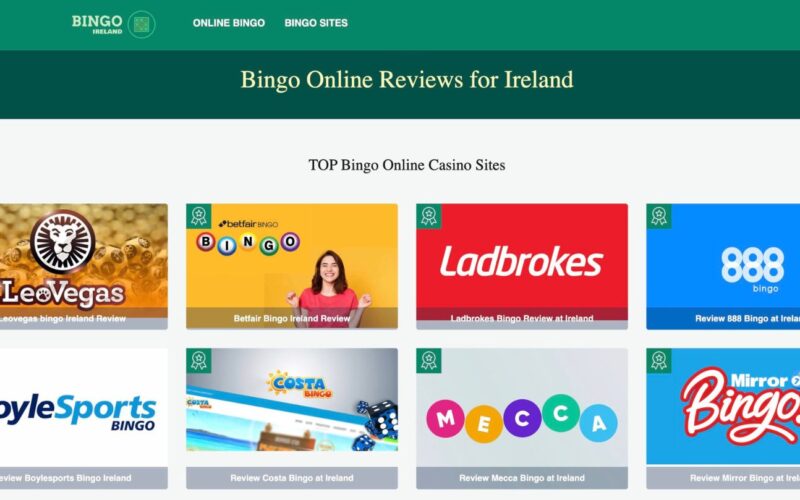 How to Play Bingo Online?