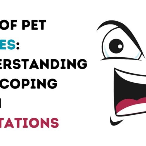 List of Pet Peeves: Understanding and Coping with Irritations