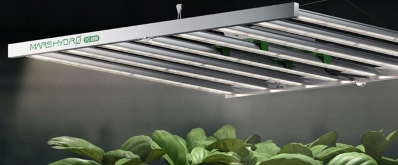 Science Behind the LED Grow Lights in Indoor Gardening