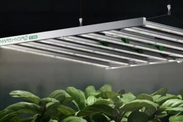 Science Behind the LED Grow Lights in Indoor Gardening