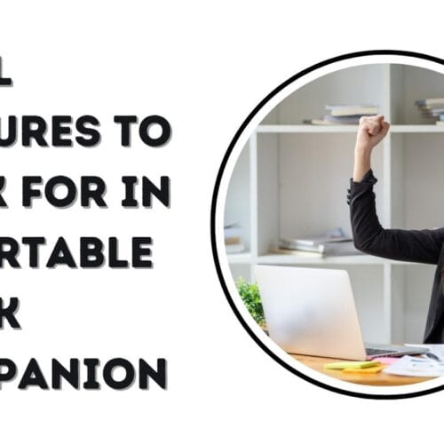 Vital Features to Look for in a Portable Work Companion