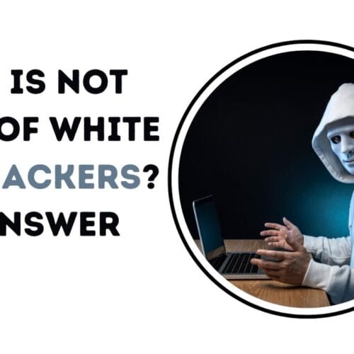 What Is Not True of White Hat Hackers? Get Answer Now