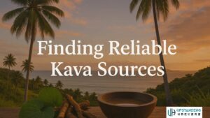 Finding Reliable Kava Suppliers Online