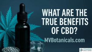 MVBotanicals.com MV Botanicals Explore the Benefits of CBD for Wellness