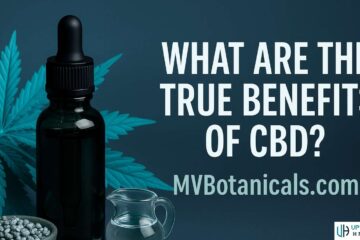 MVBotanicals.com MV Botanicals Explore the Benefits of CBD for Wellness