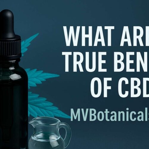 MVBotanicals.com MV Botanicals Explore the Benefits of CBD for Wellness