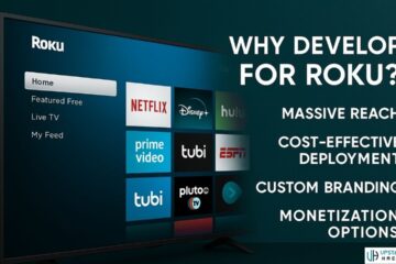The Future of Streaming: Why Roku Application Development Is in High Demand