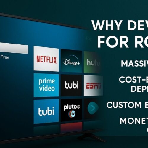 The Future of Streaming: Why Roku Application Development Is in High Demand