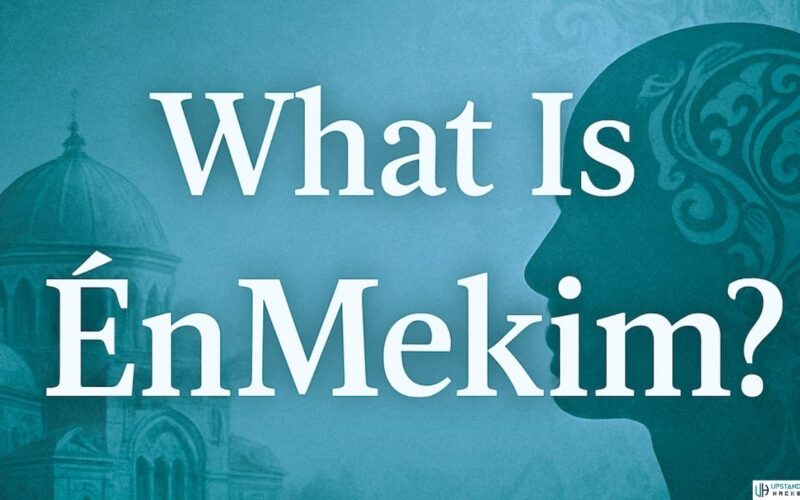 Énmekim: An Ultimate Overview for Enthusiasts