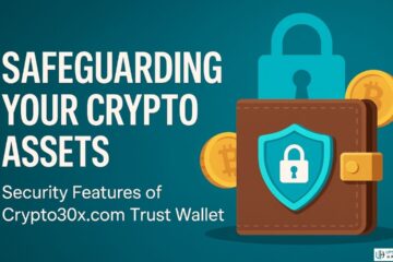 How Secure Is the Crypto30x.com Trust Wallet?