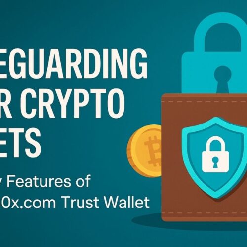 How Secure Is the Crypto30x.com Trust Wallet?