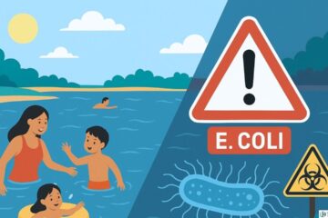 E. Coli Geist Reservoir Advisory: Is It Safe to Swim?
