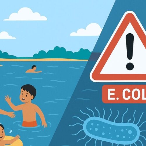 E. Coli Geist Reservoir Advisory: Is It Safe to Swim?