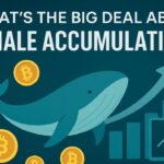 Top 10 Whale Accumulation Altcoins Nansen, Whale Alert & Arkham Intelligence Insights