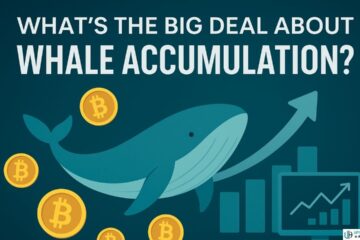 Top 10 Whale Accumulation Altcoins: Nansen, Whale Alert & Arkham Intelligence Insights