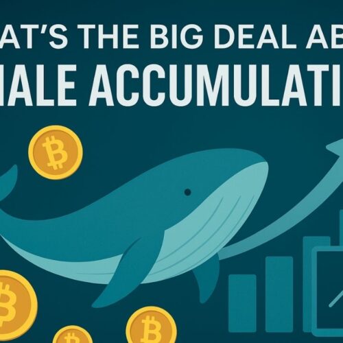 Top 10 Whale Accumulation Altcoins: Nansen, Whale Alert & Arkham Intelligence Insights