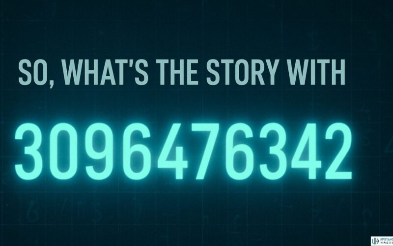 3096476342 Explained: Meaning, Uses & Fixing Errors Now