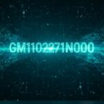 GM1102271N000