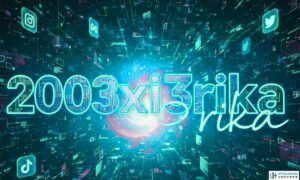 2003xi3rika