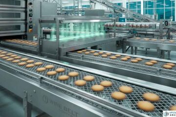 High-Quality Conveyor Belt Solutions for Modern Industries